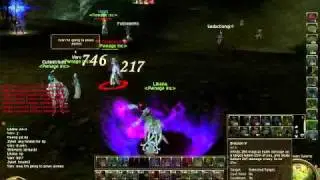 Aion 2.1 SM fast combo (no fear)