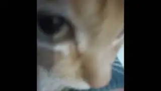 5 Seconds of Summer - Teeth (sped up)