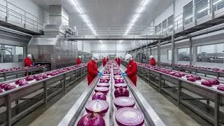Inside the Largest Onion Powder Factory in the USA | How Millions of Tons Are Produced