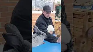 Отставить!