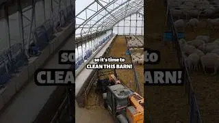 THE BABIES ARE COMING!!!! &hellip;but first, we clean.🐑💩🚜👩🏻&zwj;🌾  #sheep #farming #cleaning