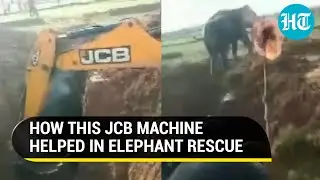 Viral video: JCB excavator helps rescue Elephant from Jharkhand ditch; Netizens hail &lsquo;saviours&rsquo;