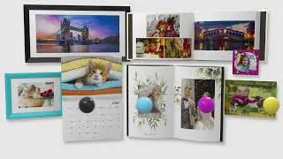 Epson SureLab SL-D1000 / SL-D1000A