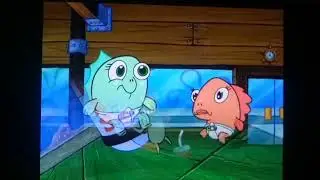 What's Wrong little Feller?