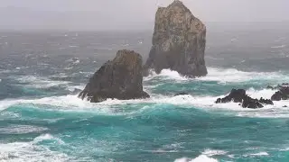 LIVE!!! CALMING WAVE VIEW WITH RLXING SOUND #relaxing