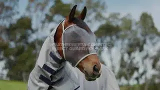 WeatherBeeta ComFiTec Insect Guard Fly Mask
