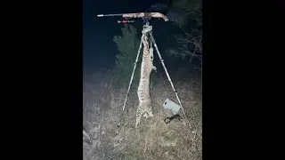Обзор Sightmark Wraith 4k mini bobcat #2/Kaw linear comp