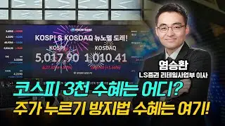 코스피 3천 수혜는 바로 여깁니다!  주가 누르기 방지법, 이 기업에 집중하세요! 이번 주 투자전략 다 정리해드립니다 / 염승환 LS증권 이사 #삼성전자 #SK하이닉스 #현대차