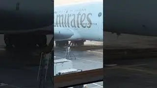@thefacup @emirates @SkyDoesShorts @Kingofsky_11 #music #soundtrack #live