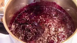 Making Wild Blueberry Jam