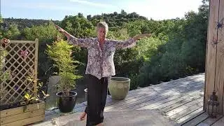 QI GONG DES REINS