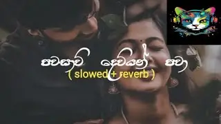 පවසාවි දෙවියන් පවා|slow + Reverb|Manoprakata sinhala song