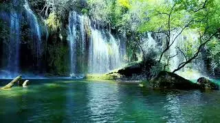 Relaxing Nature Sounds Forest River - Green Screen waterfall - waterfall nature sounds green screen