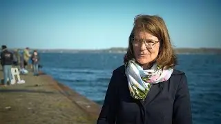 Muschelzucht - ein Weg, die Ostsee sauber zu bekommen