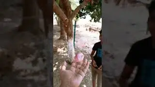 song status #status #viral #bhojpuri #drink #song #bihar