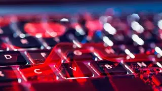 &lsquo;Operation Cookie Monster&rsquo;: Police shut down cybercriminals&rsquo; online marketplace