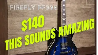 Firefly FF338 (Gibson 335} style guitar.