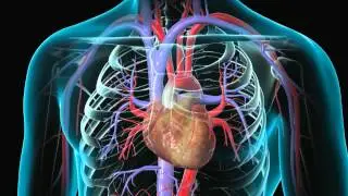 Pump It Up: Heart Health Special Report - KQED QUEST