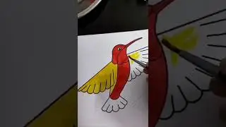 Humming bird colouring #watercolor #hummingbird #red #yellow #birds