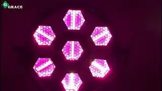 Grace Stage Light | GL 7Halo Disco LED 7 Halo Hexa Pixel Control Blinder Light