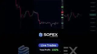 288% Algo Trading Profit SOFEX! See My Trades LIVE #trading #howto #ethereum #investing #programming