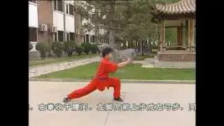 Taolu de Wu Bin niveau 3 - Position par position (partie 3/3)