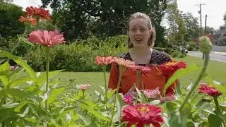 Artists & Farmers at CKC Farming #grants4plants