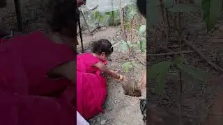 tamil#trending#shortsviral#shorts#viral#thalapathy#vijay#song#trendingshorts#videos#vlog#subscribe