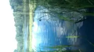 Marilyn swimming at Hopkins lake