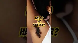 Why Do We Have Body Hair? The Evolutionary Story!