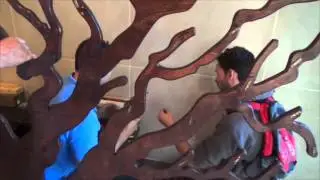 donor tree installation