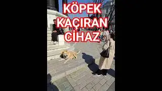 Temu'dan K&ouml;pek Ka&ccedil;ıran cihaz aldım - K&ouml;pek savar cihaz - K&ouml;pekleri uzaklaştıran cihaz