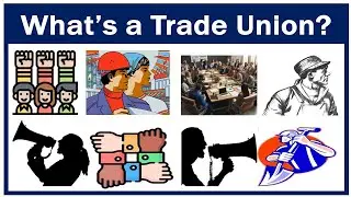 What is a Trade Union?