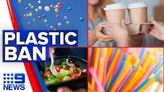 Queensland bans more single-use plastics, signals end to disposable coffee cups | 9 News Australia