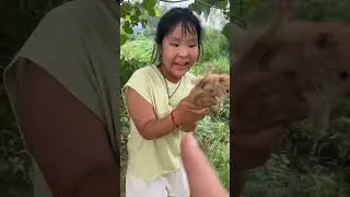 Best game play at home, Funny family play game 🤣 #Shorts