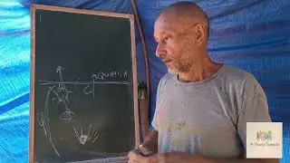 Principios fundadores da Permacultura