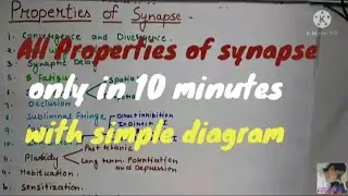 Properties of synapse - very simple way in only 10 min. (With simple diagram )