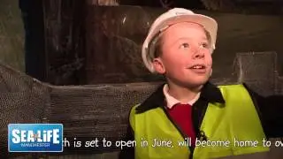 SEA LIFE Manchester fill the ocean tank for the first time