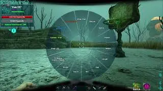 Dodoball, ARK