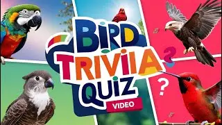 Bird Trivia Quiz: Test Your Knowledge with 20 Fascinating Birds!