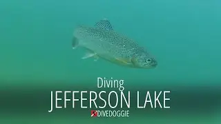 Jefferson Lake - What's on the Bottom?