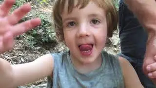 Brandy wine falls