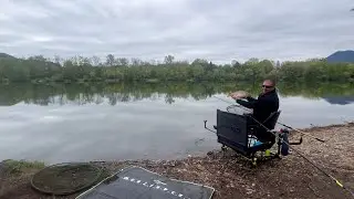 Methodfeedern mit auff&auml;lligen K&ouml;dern #feedshorts #carpfishing #methodfeeder #methodfeederfishing 