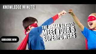 Meet Your 5 Superpowers The Human Senses