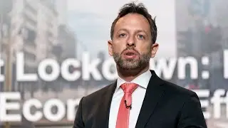 The Great Lockdown: Dissecting the Economic Effects