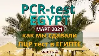 Как нам пришлось сдать PCR тест в Египте.