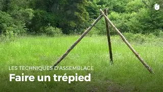 Faire un trépied | Construire des installations en forêt