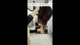 모피전문 백화점 마리노블 라이브 방송