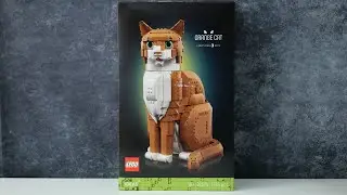 LEGO Ideas 21376 Оранжевый кот - Обзор быстрой сборки LEGO