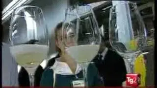 08/04/2010 TG2